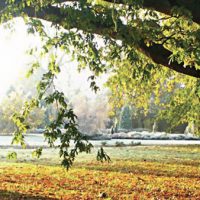 Wayfinding: Harris&nbsp;Garden